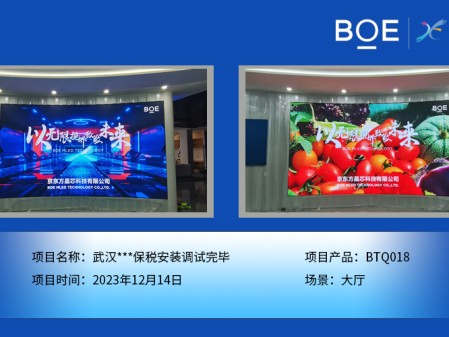 武漢***保稅區(qū)大廳BTQ018安裝調(diào)試完畢